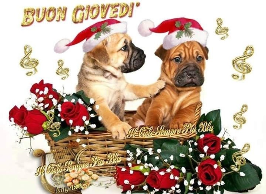 Buon Giovedì Natale