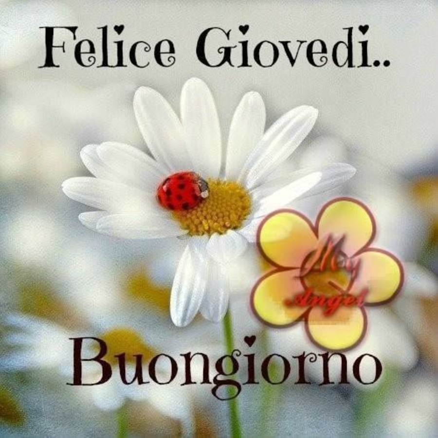 Buon Giovedì coi fiori