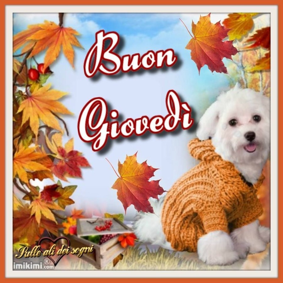 Buon Giovedì foto autunno