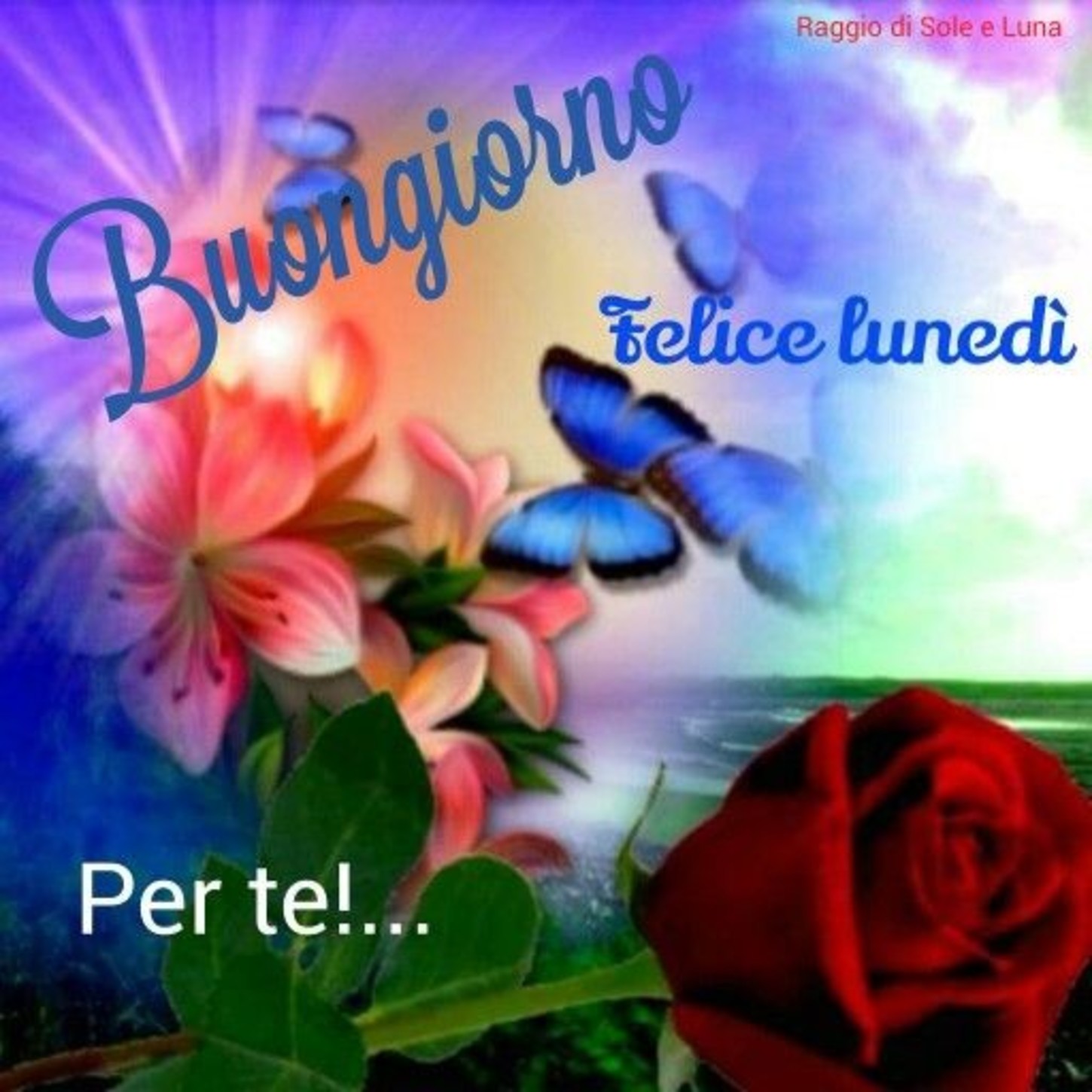 Buon Lunedi Amore Immagini 2 Immaginifacebook It