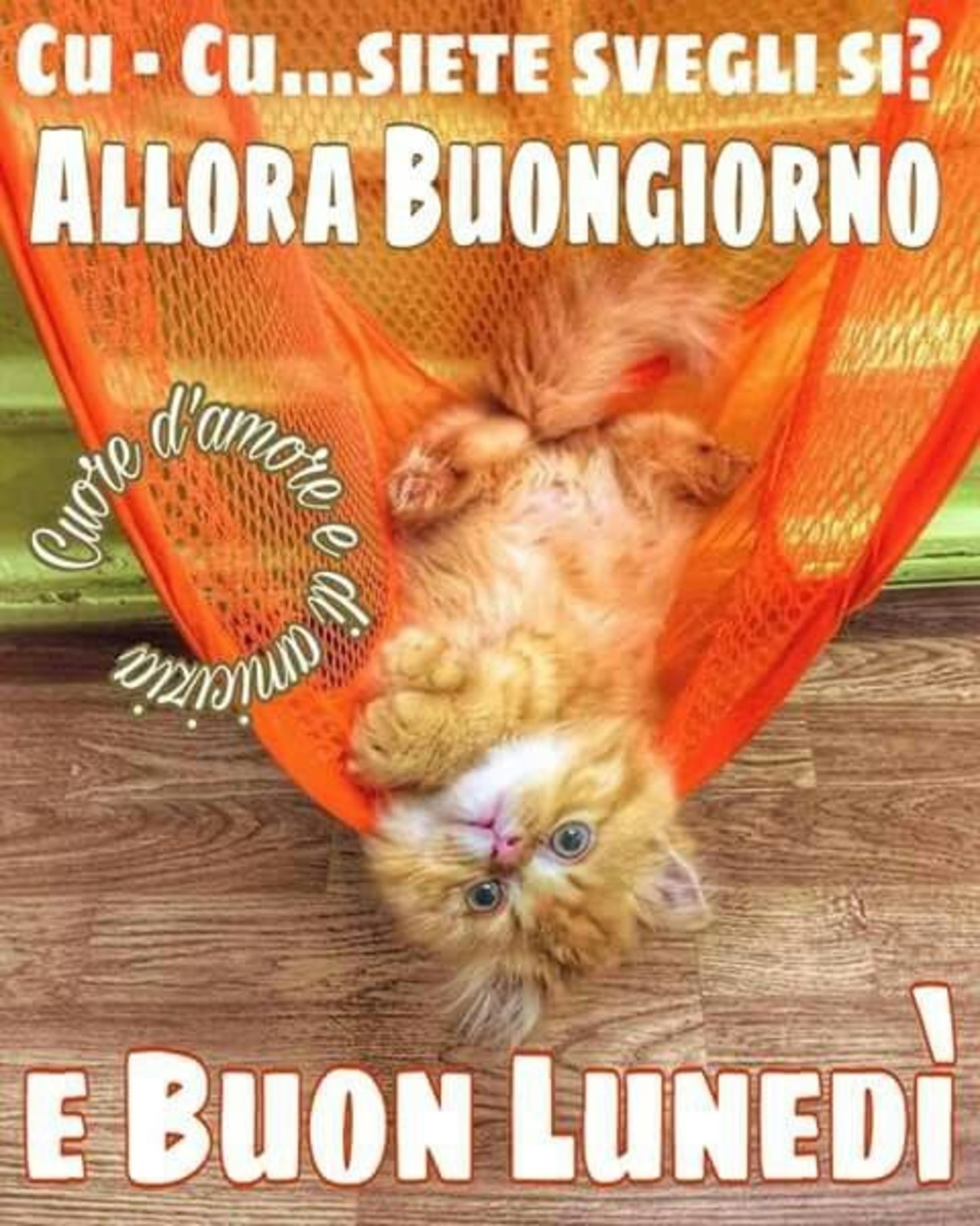 Buon Lunedì Gruppo Facebook 7511