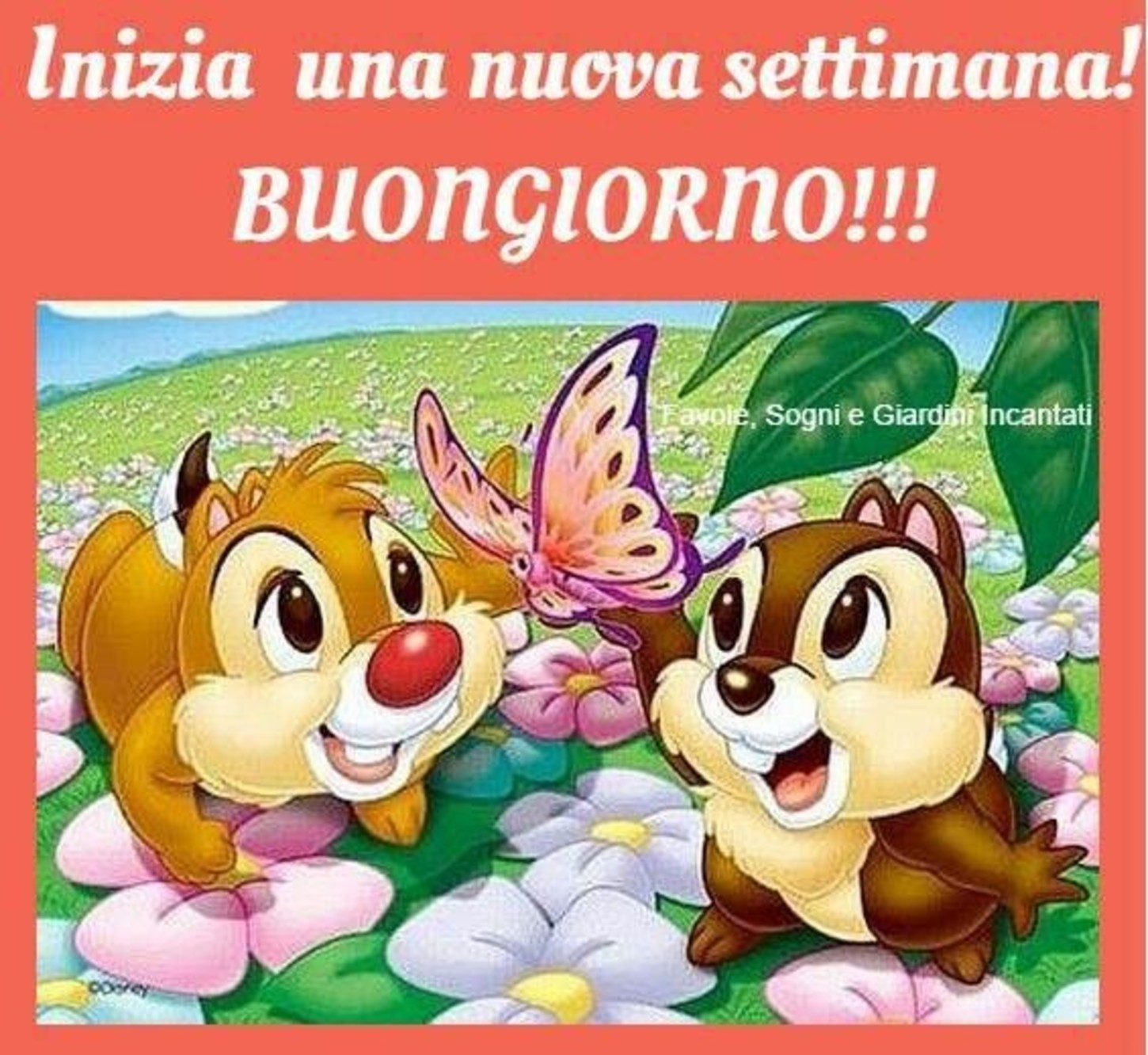 Buon Lunedì Pinterest 3475