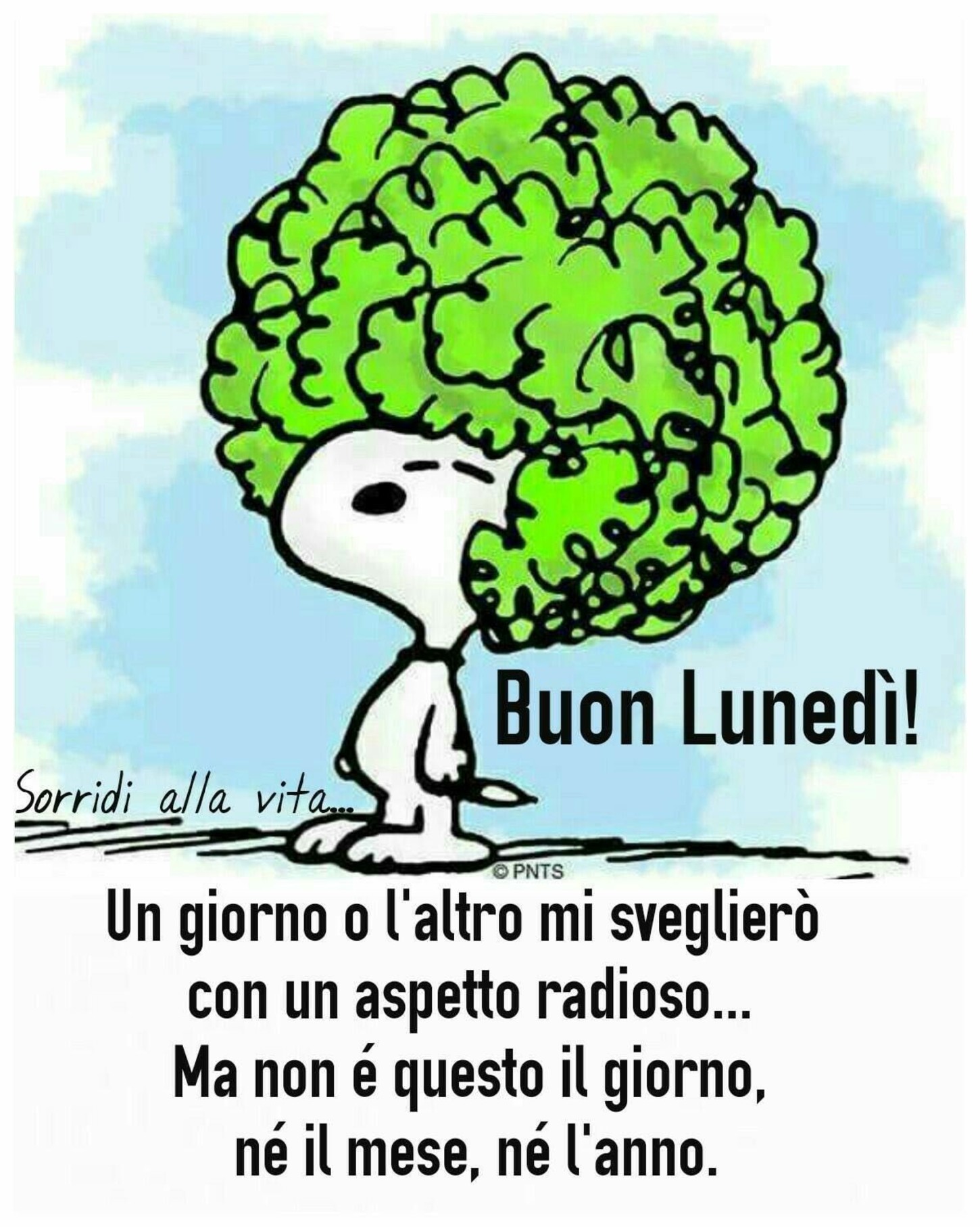 Buon Lunedì WhatsApp 7429