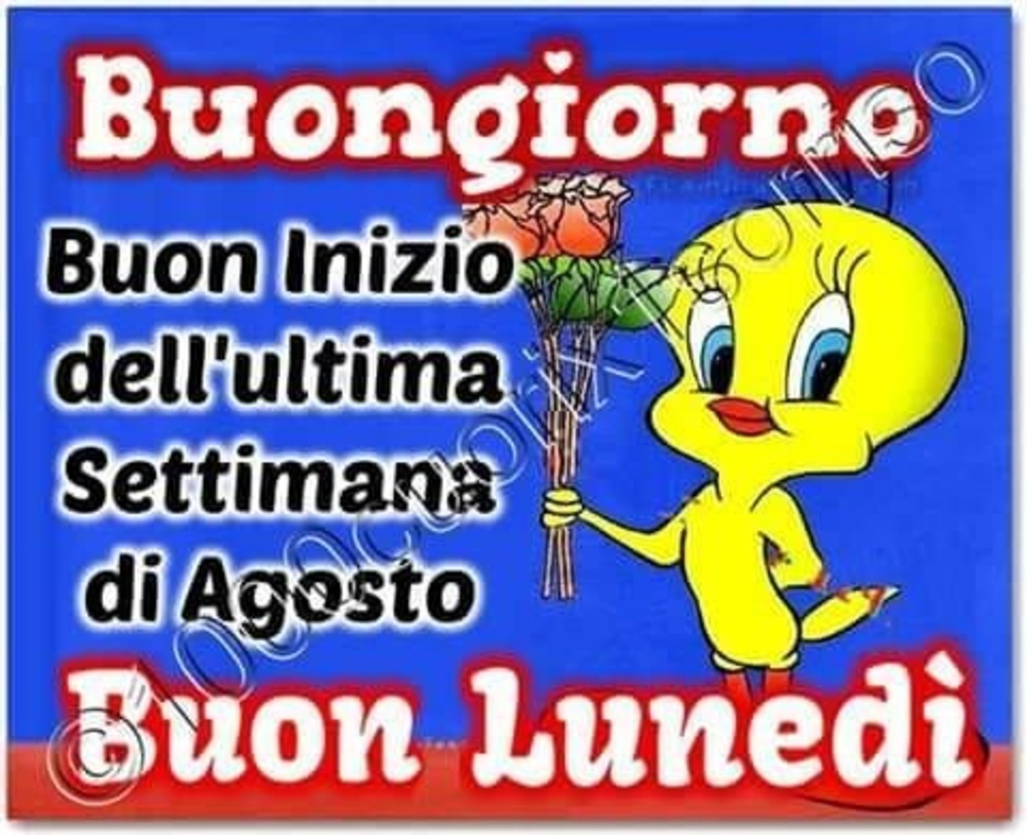 Buon Lunedì a tutti gli amici 5761