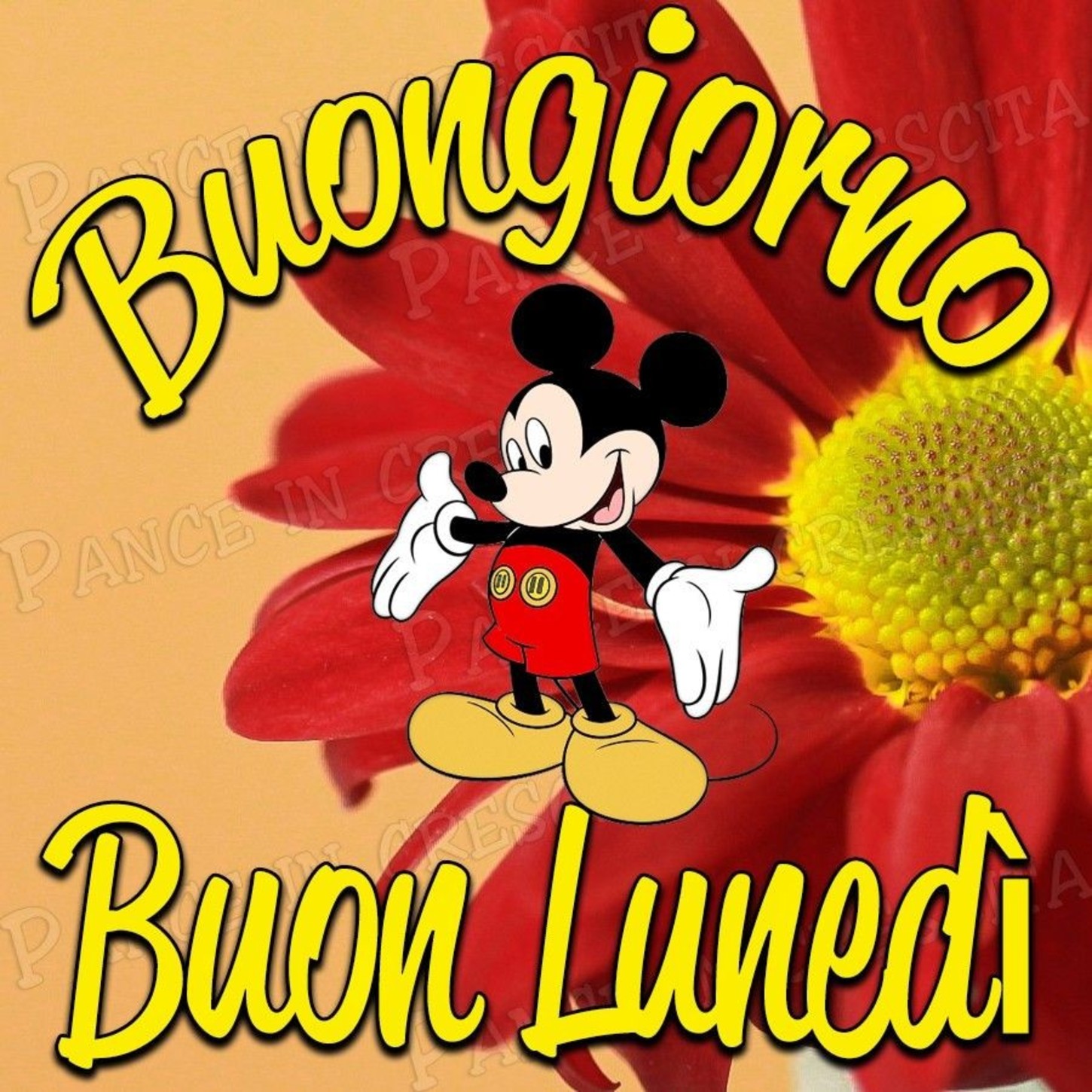 Buon Lunedì amici miei 4931