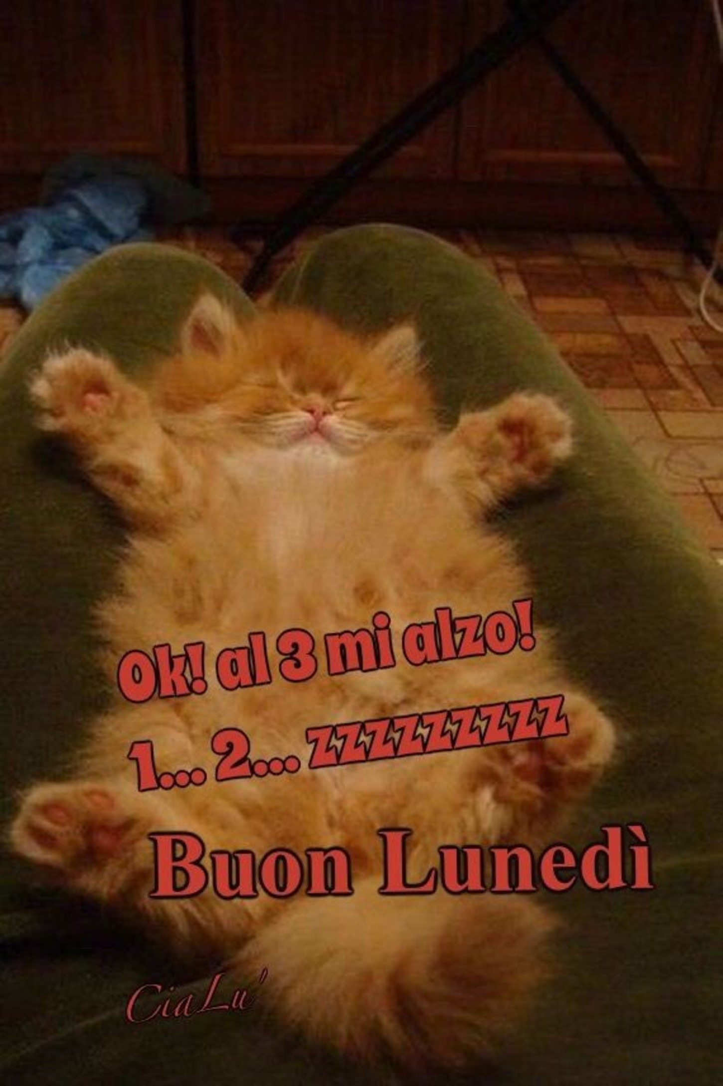 Buon Lunedì che sonno