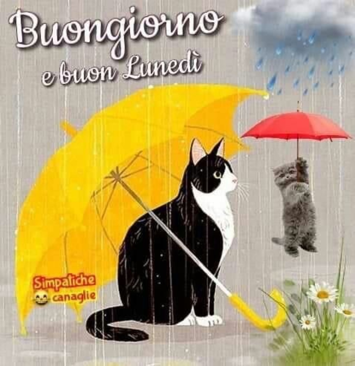 Buon Lunedì con la pioggia piove