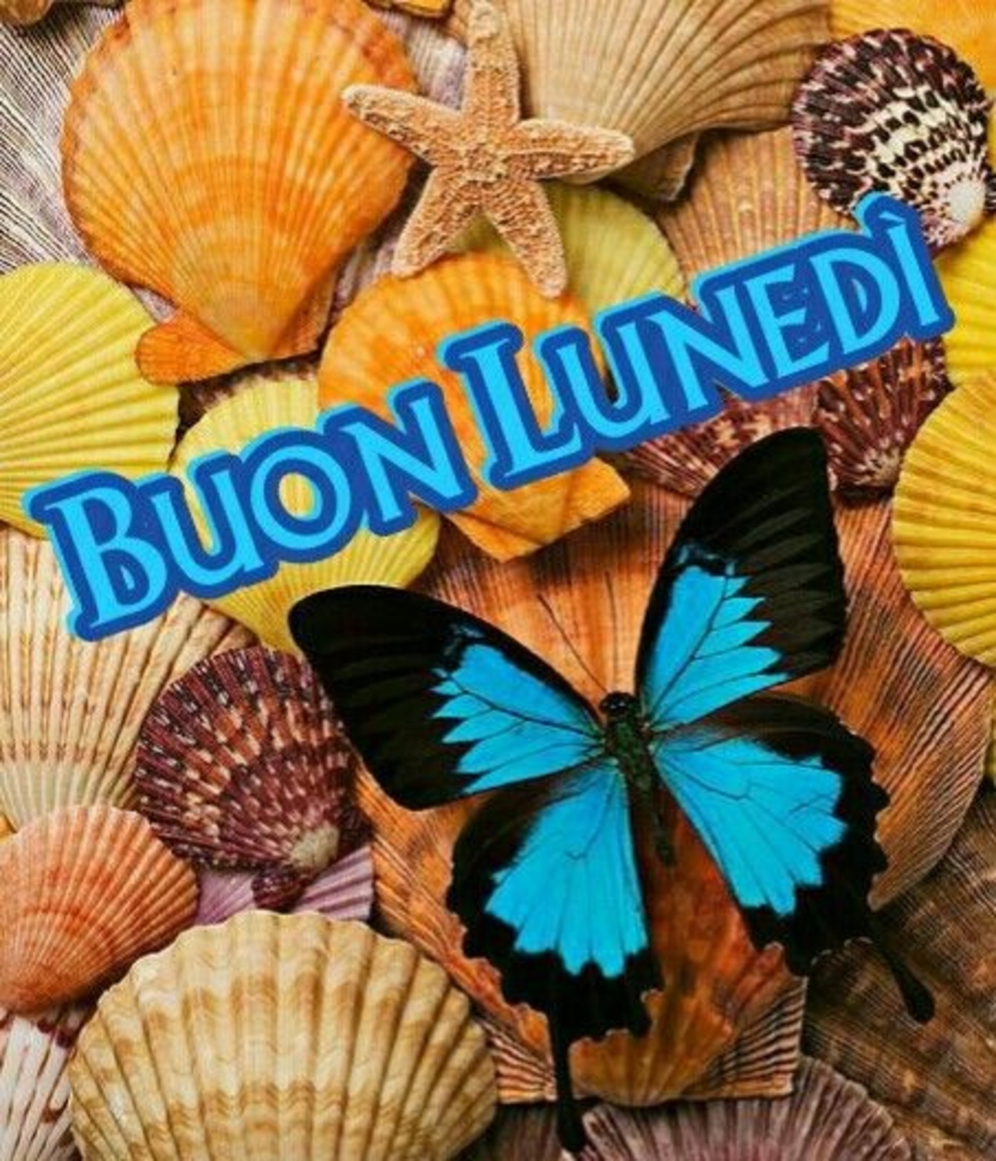 Buon Lunedì farfalle