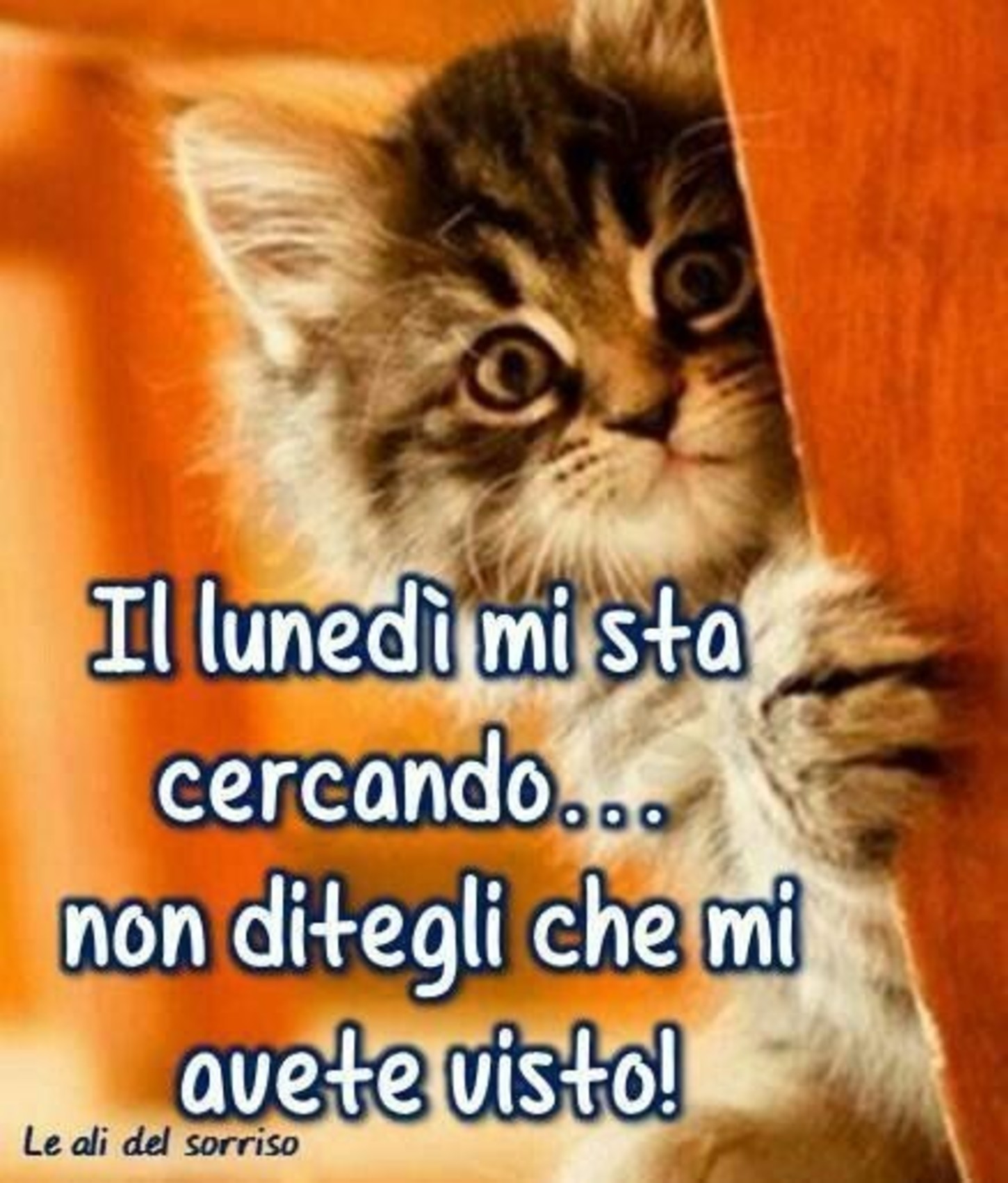 Buon Lunedì foto con animali 5