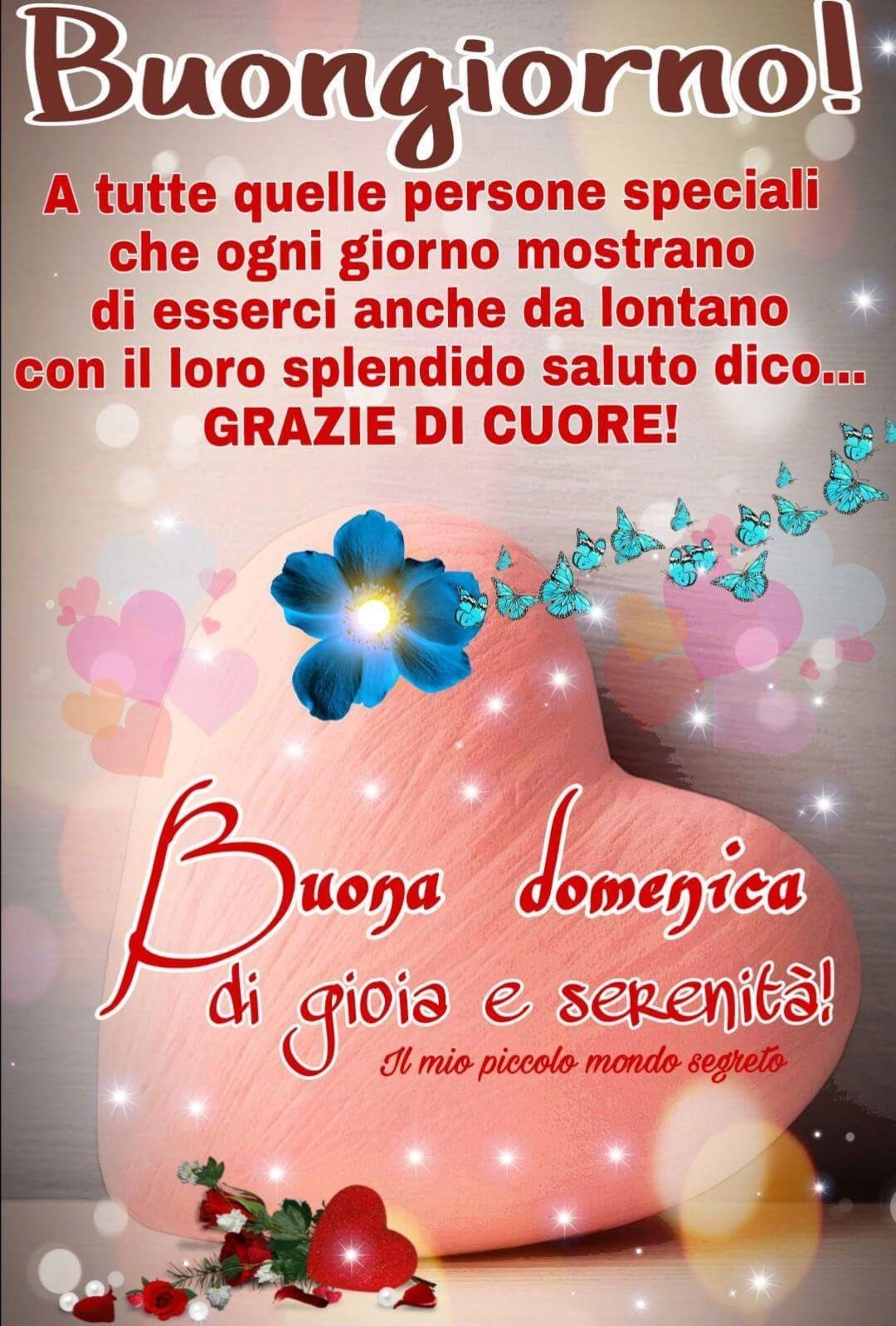 Buon Lunedì immagini da condividere gratis 595