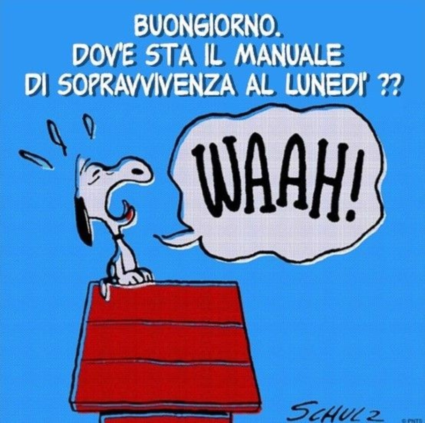 Buon Lunedì immagini per WhatsApp 2867