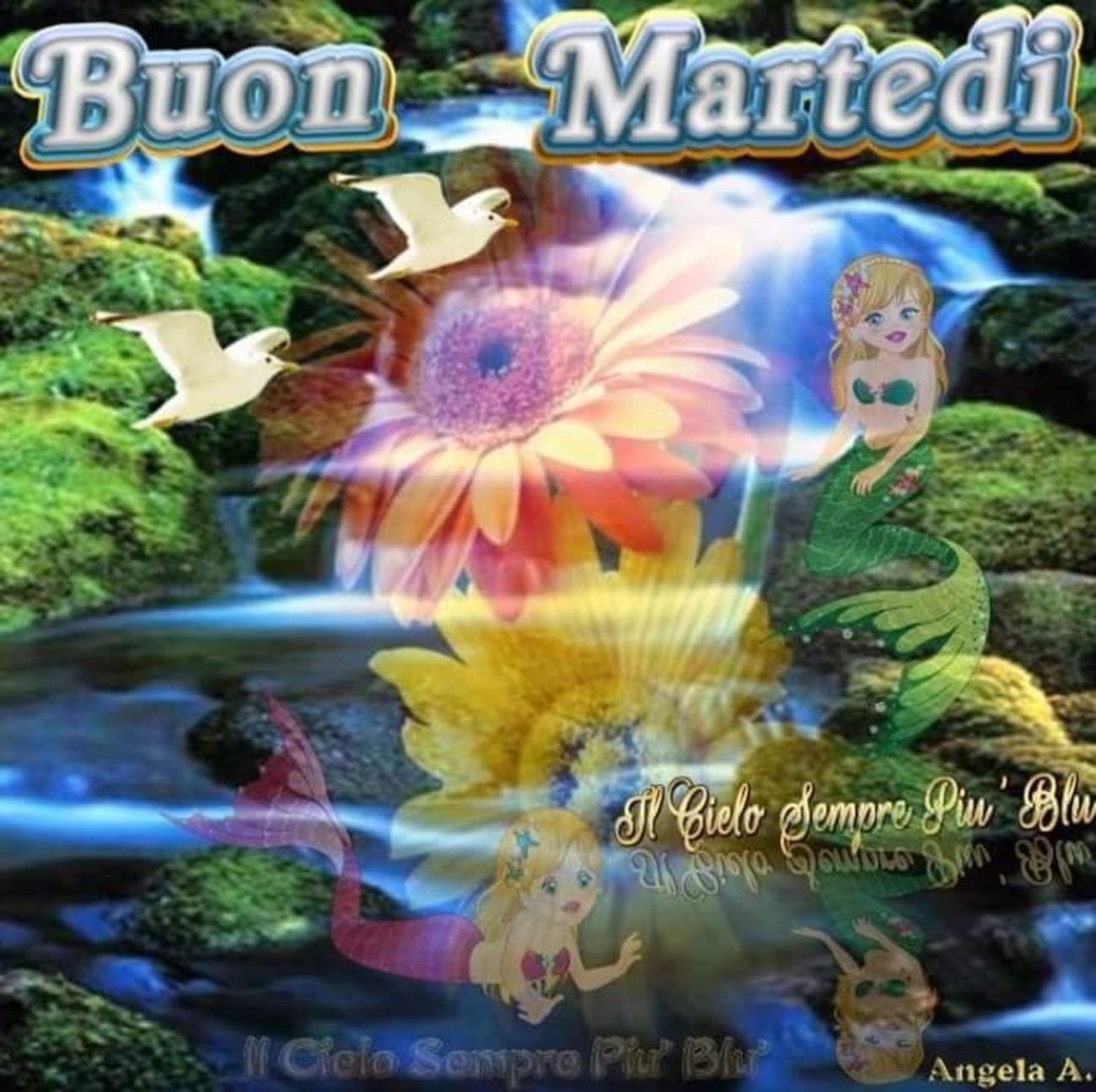 Buon Martedì da mandare 809