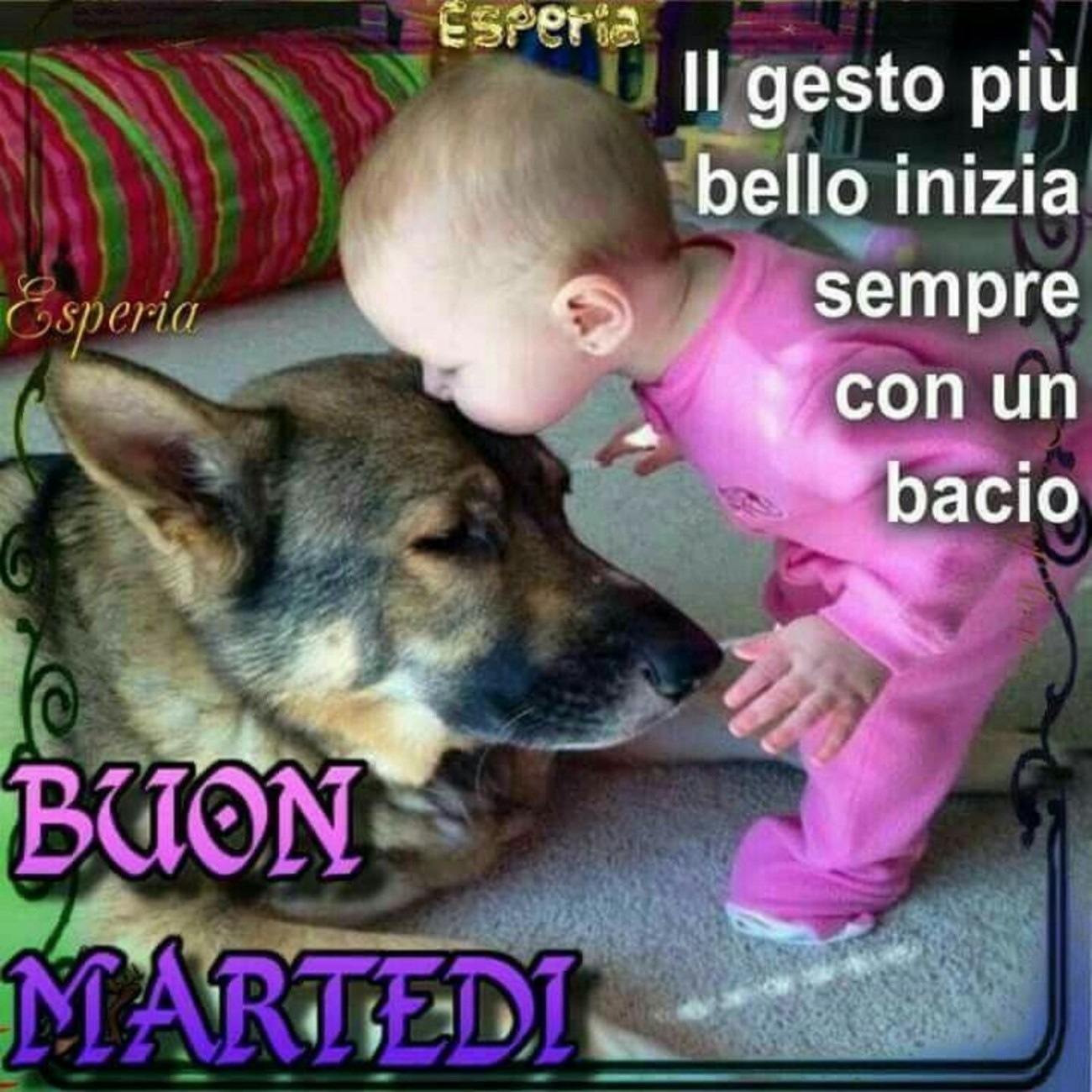 Buon Martedì immagini bellissime 5811