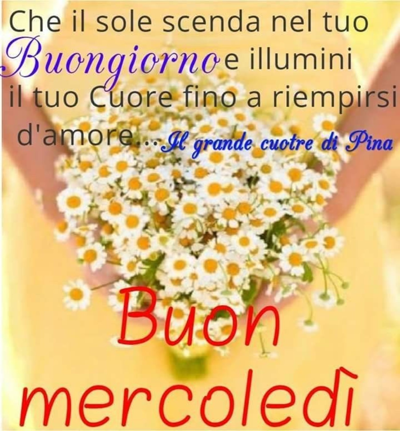 Buon Mercoledi A Tutti Gli Amici Del Mio Profilo 8764 Immaginifacebook It