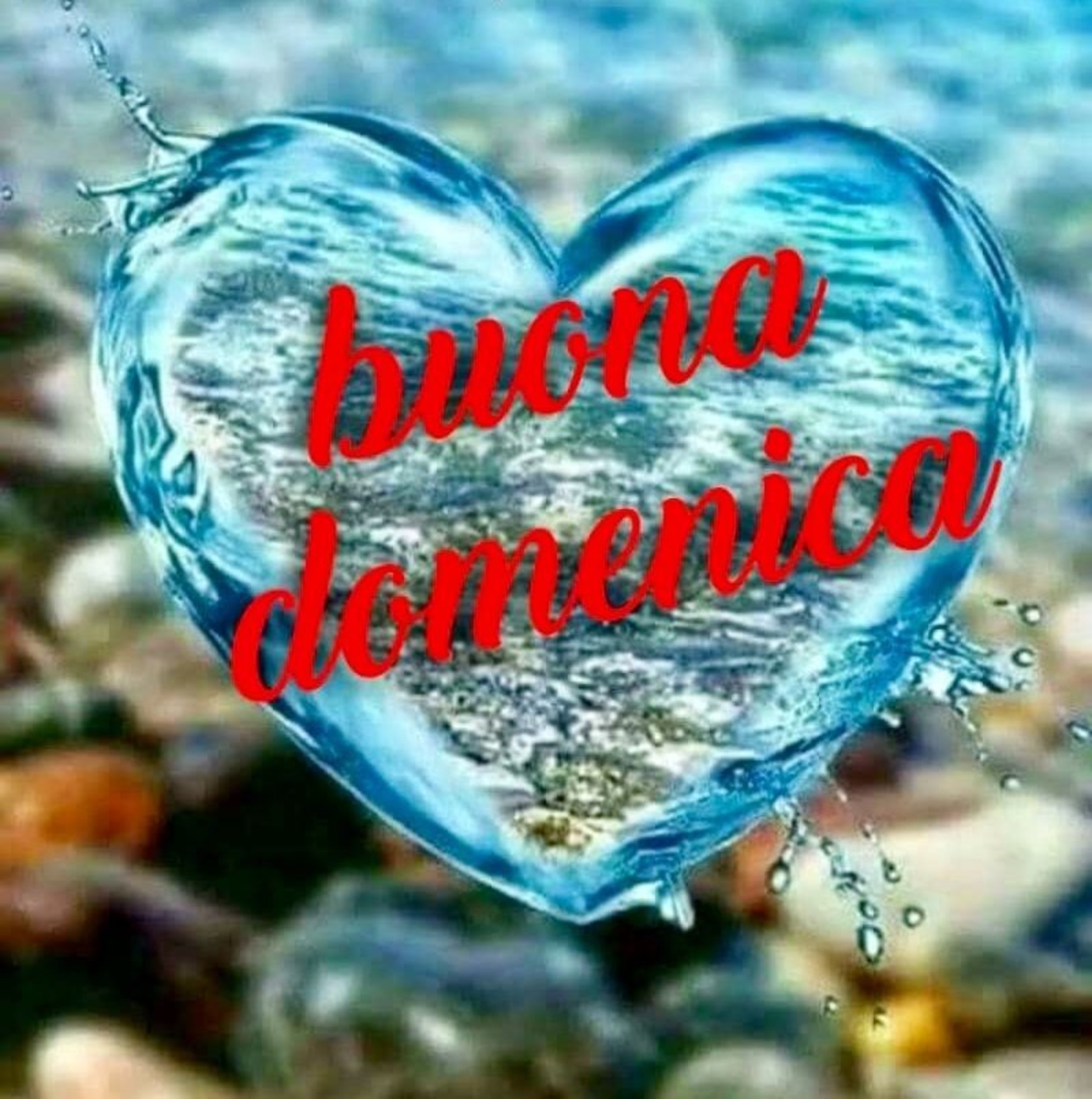 Con il cuore Buona Domenica 2