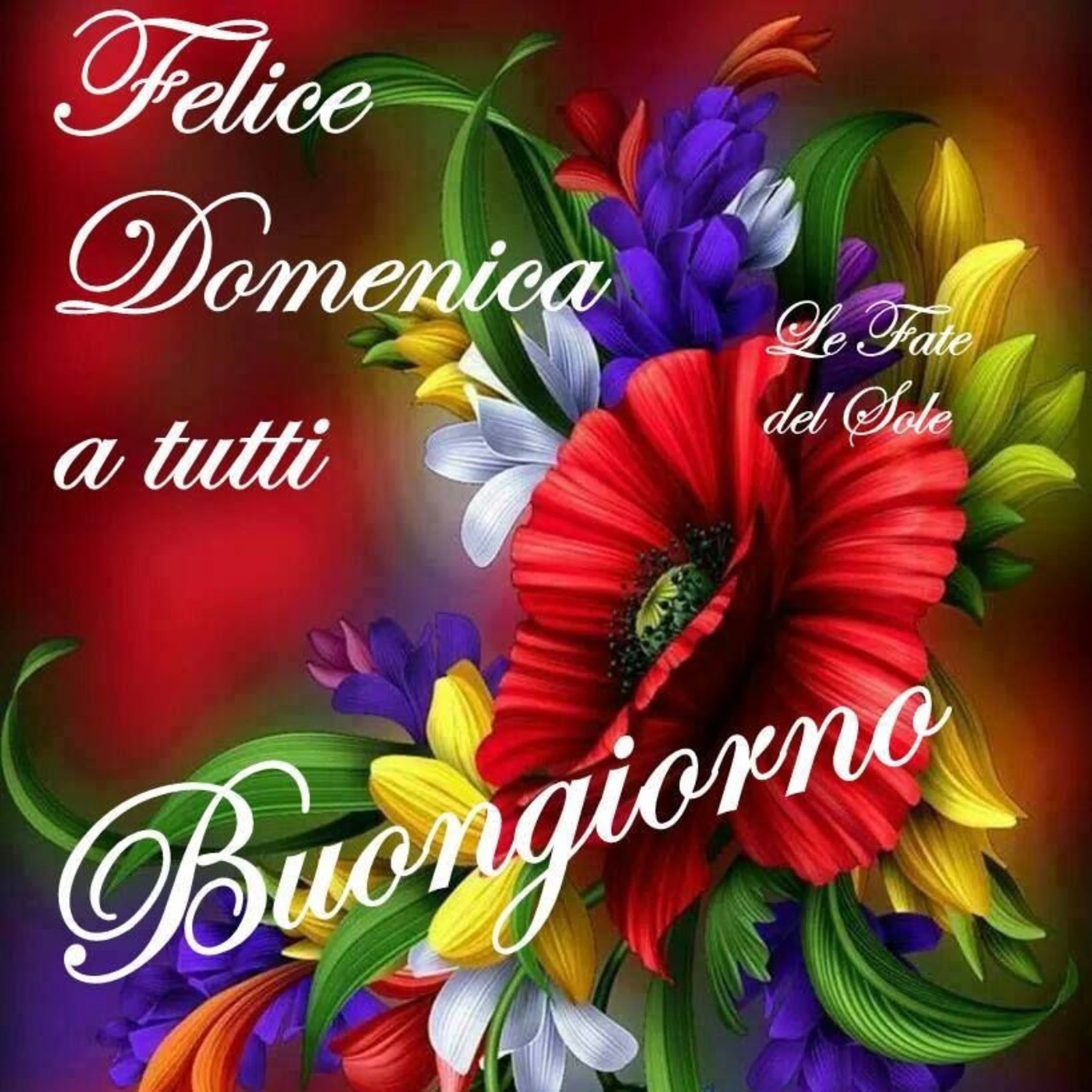 Domenica 1