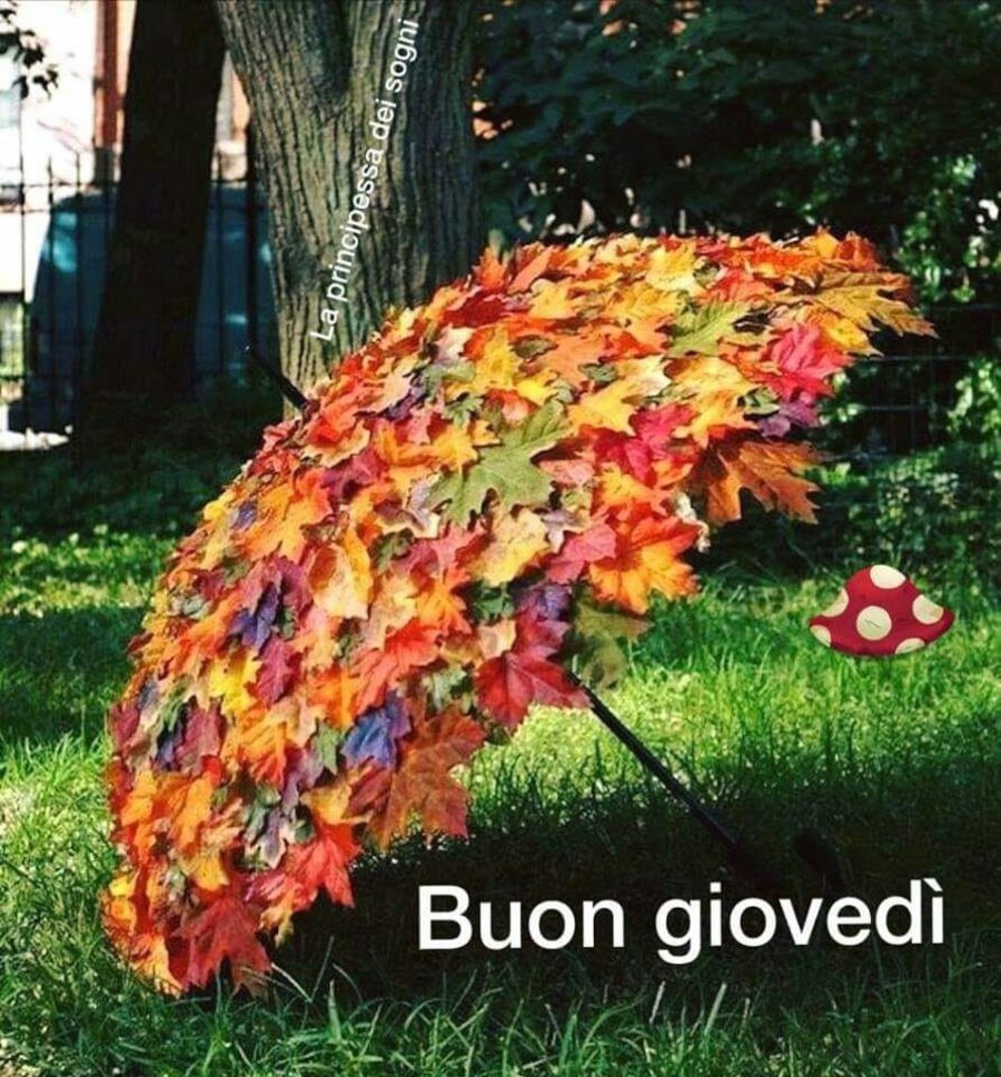 Felice Giovedì 2794