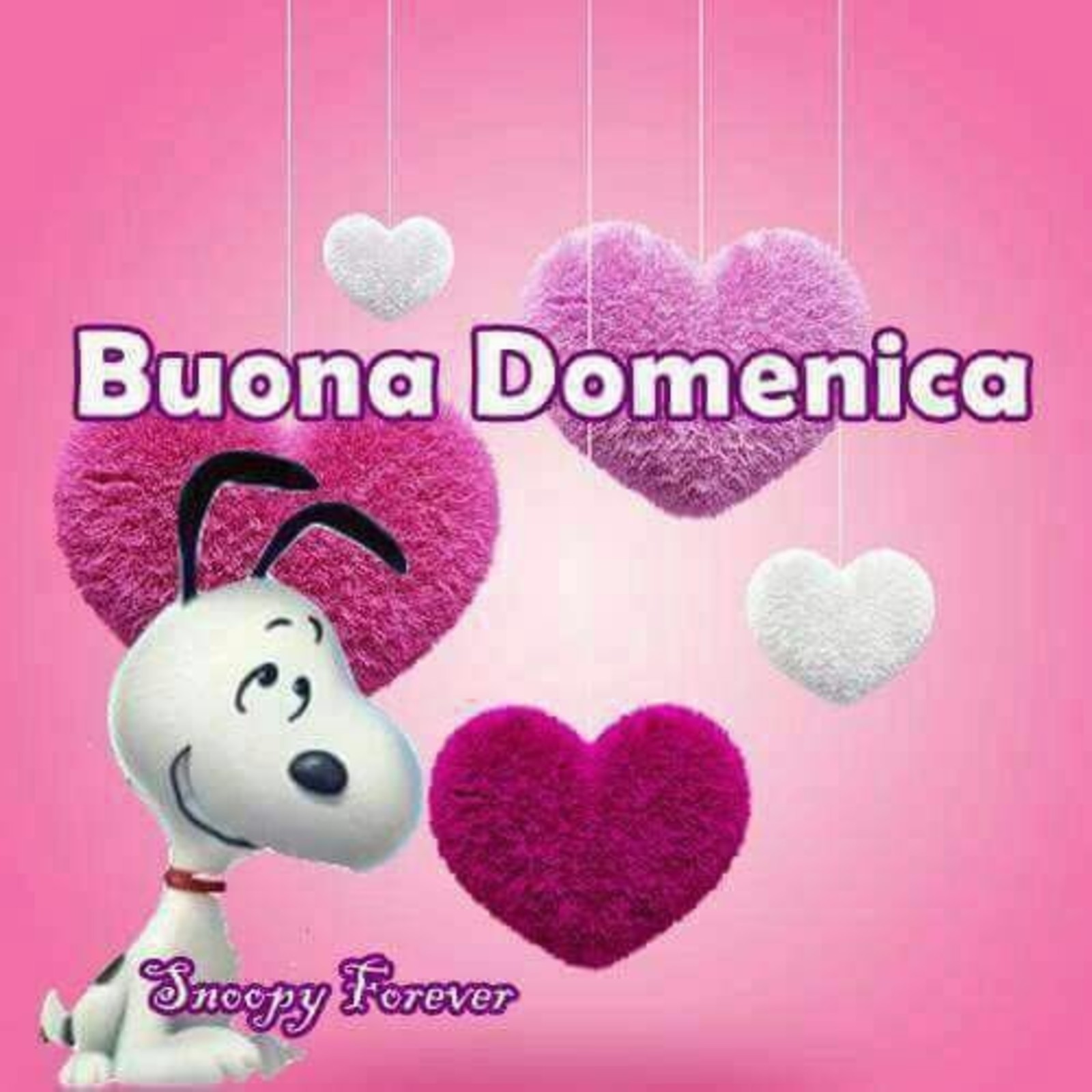 Immagini Snoopy Buona Domenica