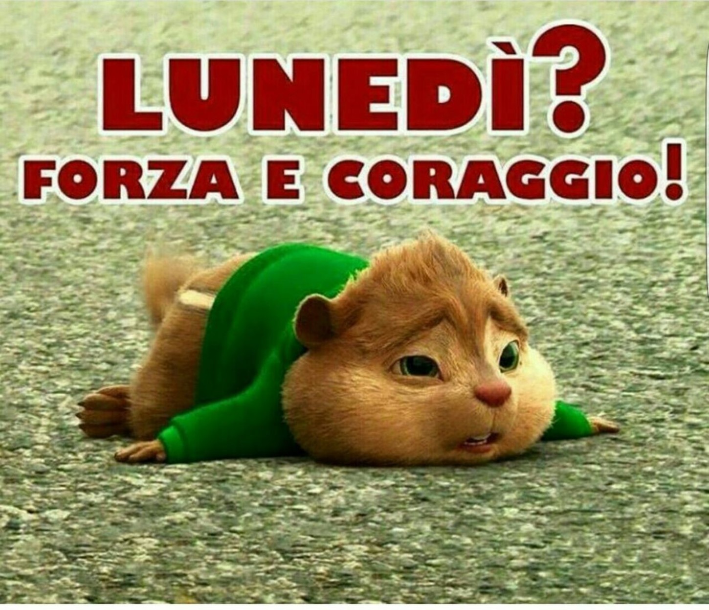 Lunedi Forza E Coraggio Immaginifacebook It