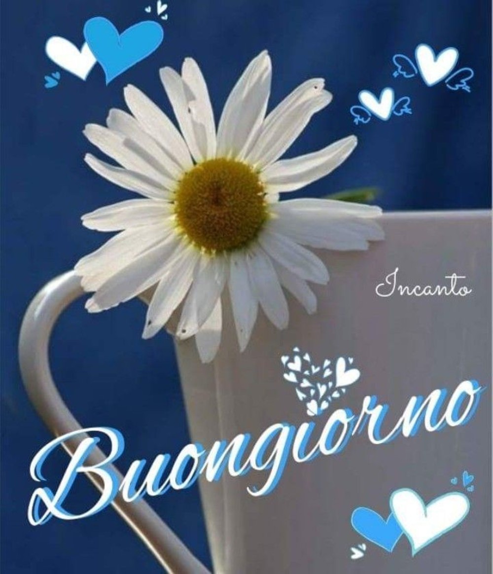 Buongiorno Facebook Immaginifacebook It