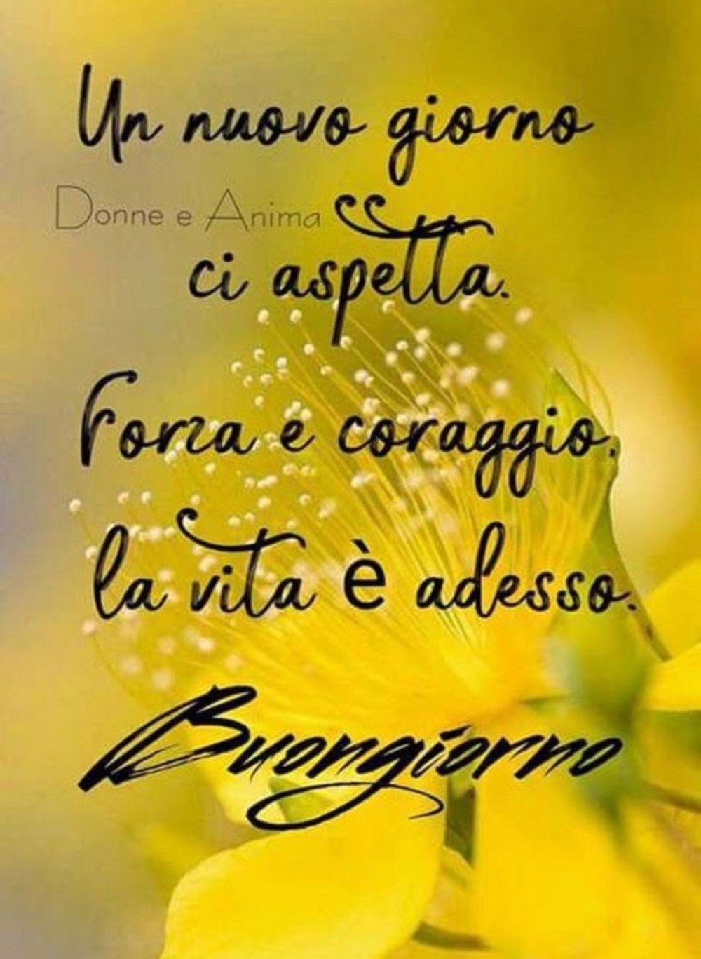 Buongiorno Facebook 7456