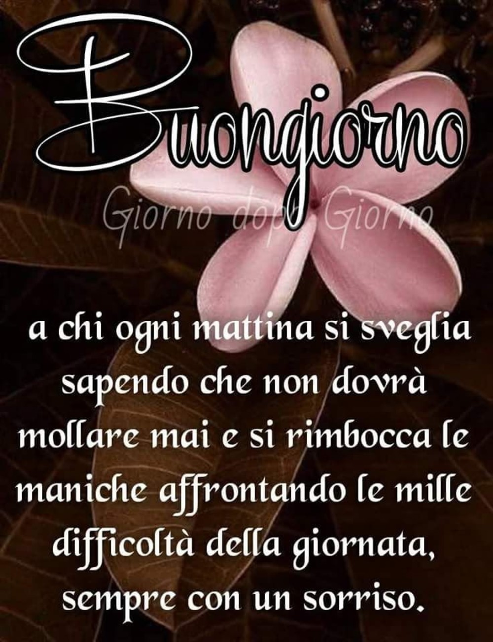 Buongiorno bellissime immagini gratis 2425