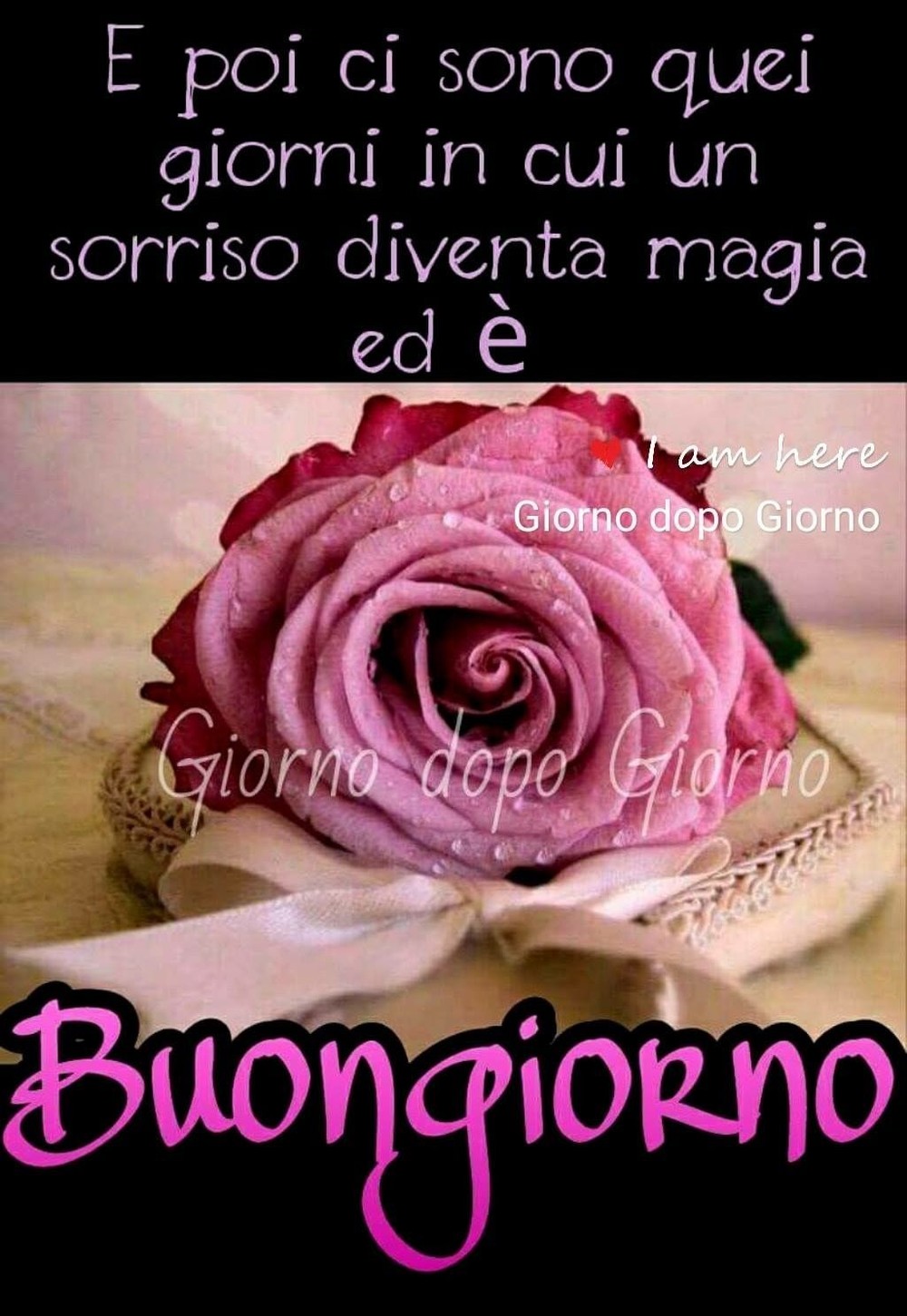 Buongiorno immagini nuove 4452