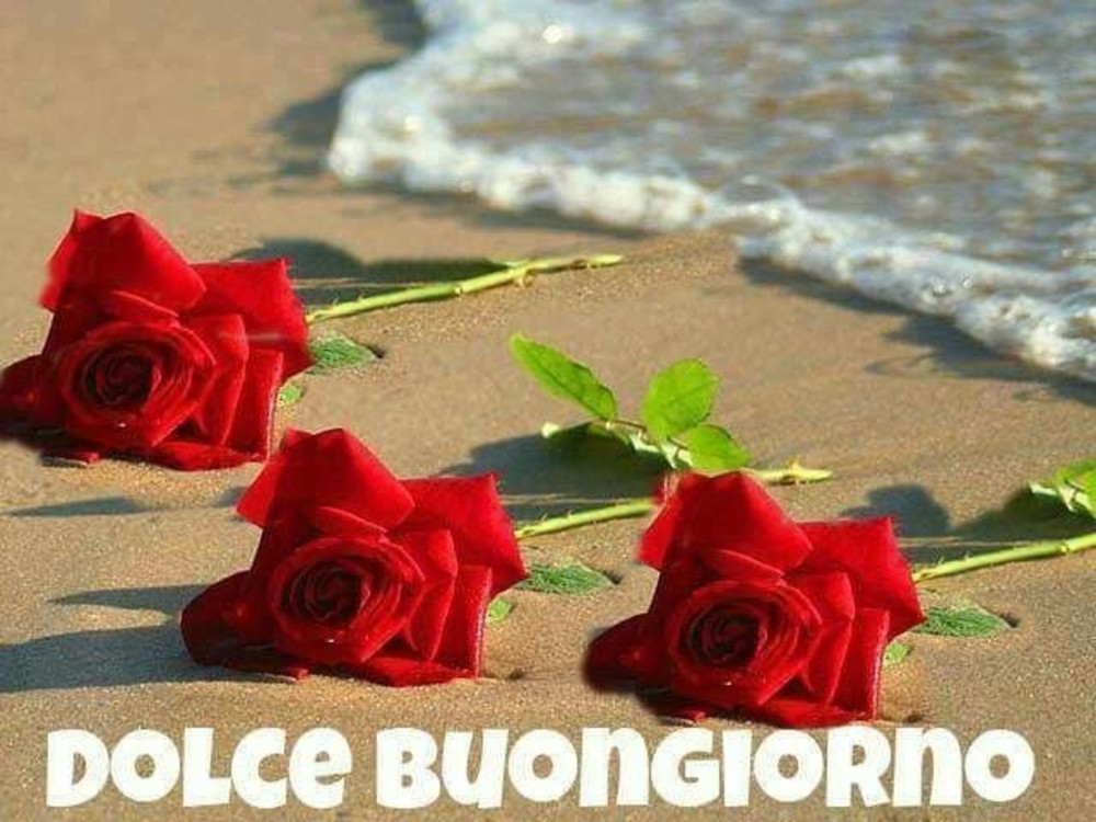 Felice Giorno 11030