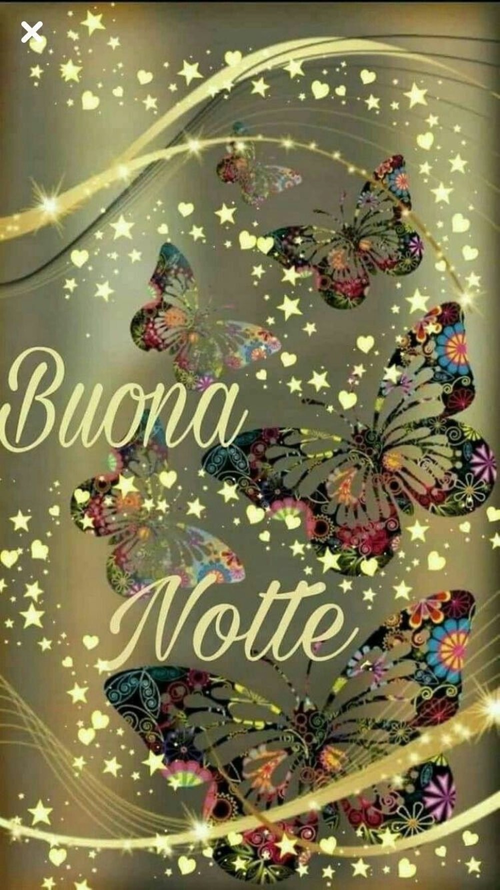 Buona Notte 10491