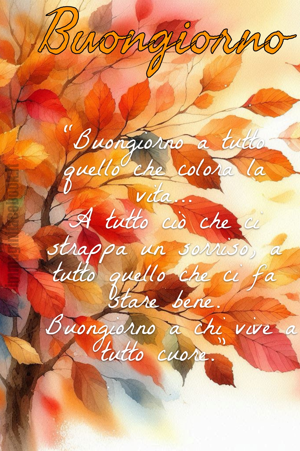 Buongiorno a tutto quello che colora la vita... A tutto quello che strappa un sorriso, a tutto quello che ci fa stare bene. Buongiorno a chi vive a tutto cuore!